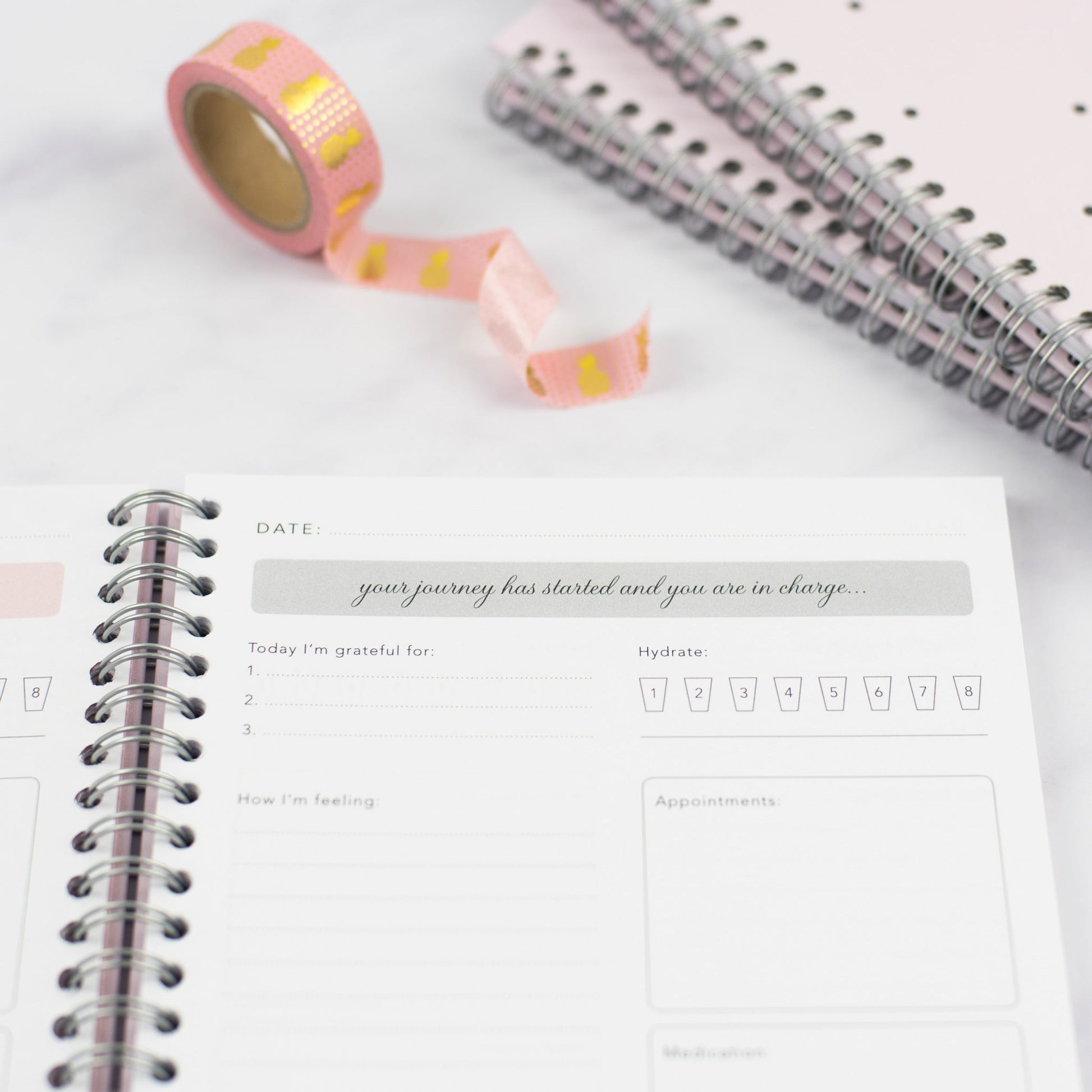 A daily page in the IVF Journal by Nothing But Lovely, it shows some encouraging words "Your journey has started and you are in charge..." The area for three grateful thoughts and a hydration section.